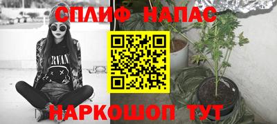 СК Дмитров