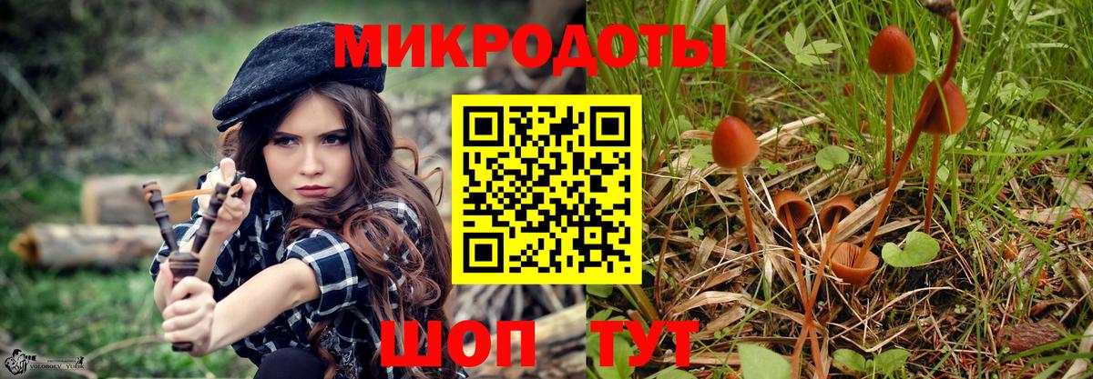 Псилоцибиновые грибы Psilocybine cubensis Богородицк
