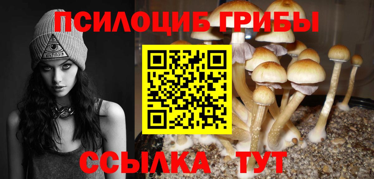 где найти   Псилоцибиновые грибы MAGIC MUSHROOMS  Вход с VPN  Богородицк  Галлюциногенные грибы ЛСД 